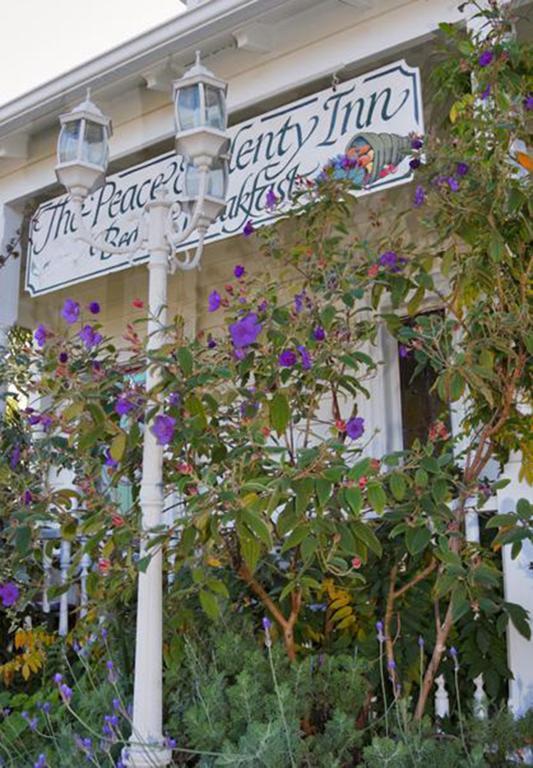 Peace And Plenty Inn Auckland Buitenkant foto